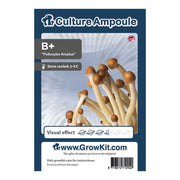 B Plus Magic Mushroom - Culture Ampoule Set - 7SMART