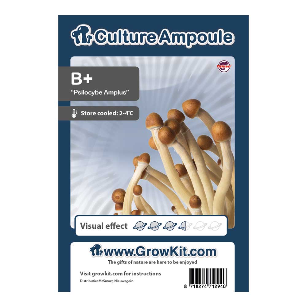 B Plus Magic Mushroom - Culture Ampoule Set - 7SMART
