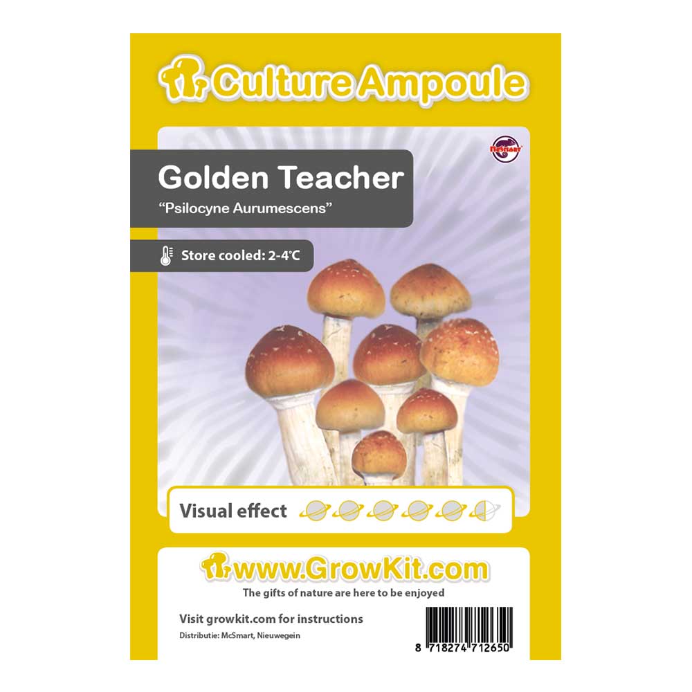 Golden Teacher - Magic Mushroom Culture Ampoule Set - 7SMART