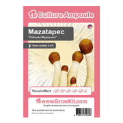 Mazatapec Magic Mushroom - Culture Ampoule Set - 7SMART