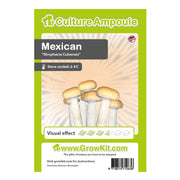 Mexican - Culture Ampoule Set - 7SMART