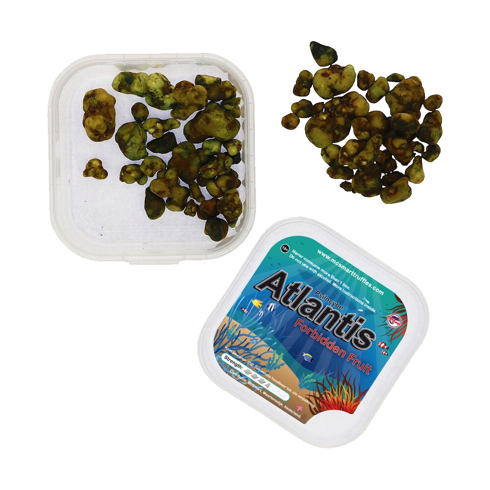 Atlantis - 15 gram - 7SMART