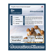 B Plus Magic Mushroom Growkit - 2100 cc - 7SMART