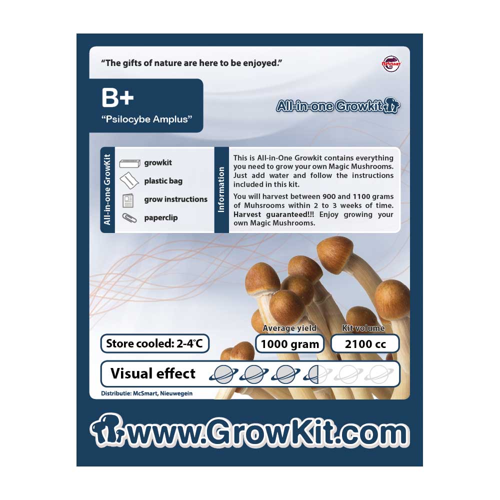B Plus Magic Mushroom Growkit - 2100 cc - 7SMART