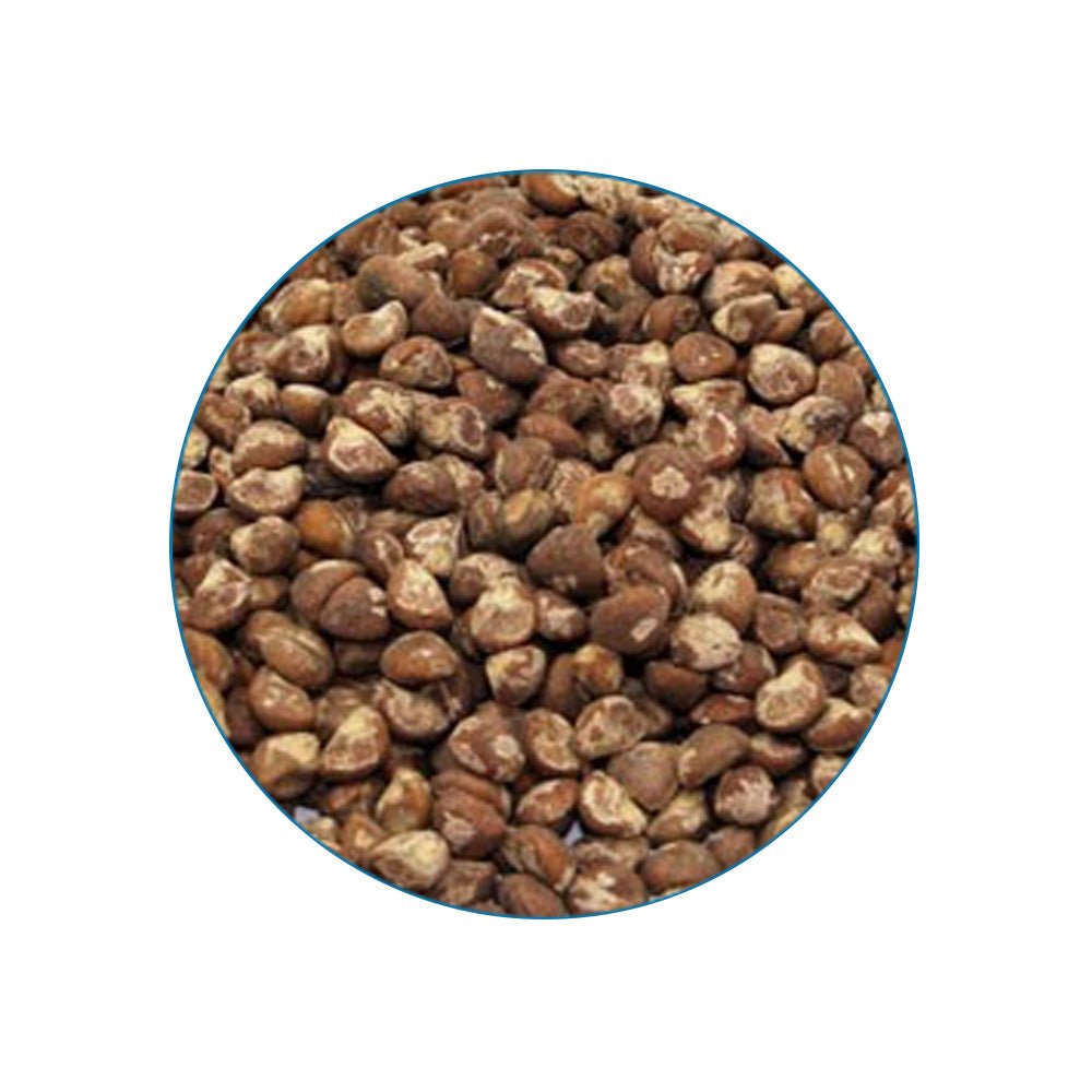 Baby Hawaiian Woodrose - 10 zaden - 7SMART