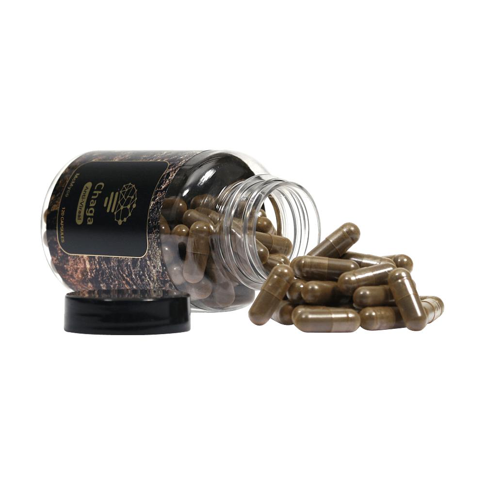 Chaga extract capsules - 120 stuks - 7SMART