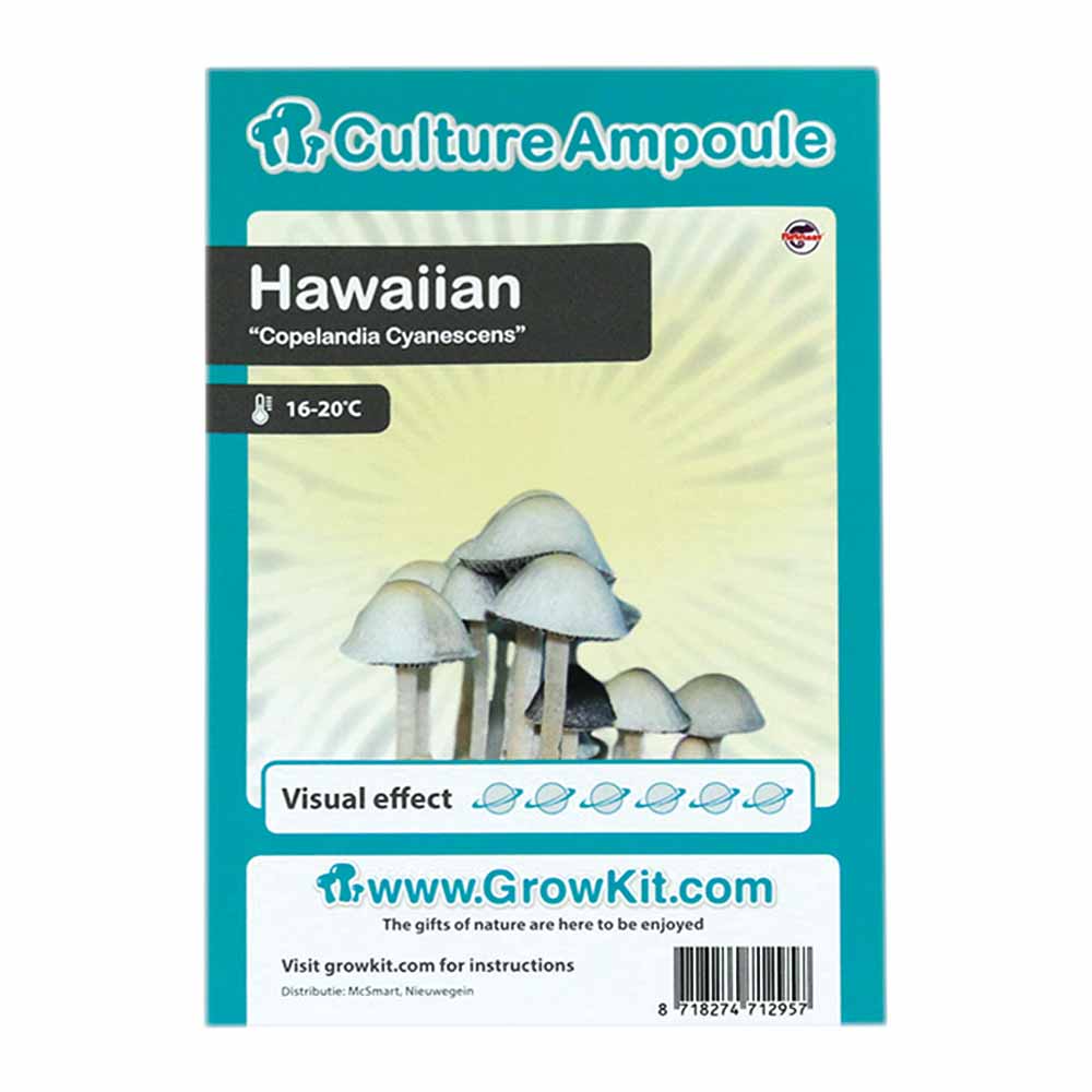 Hawaiian Magic Mushroom - Culture Ampoule Set - 7SMART