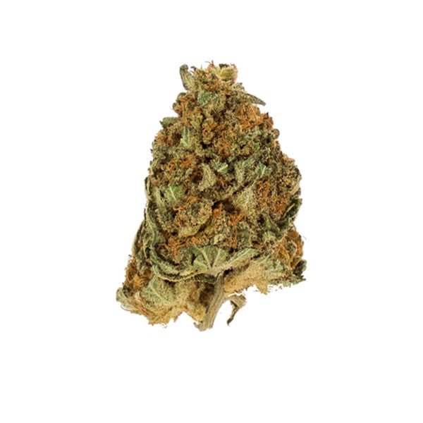 Royal Queen Seeds Northern Light - 7SMART