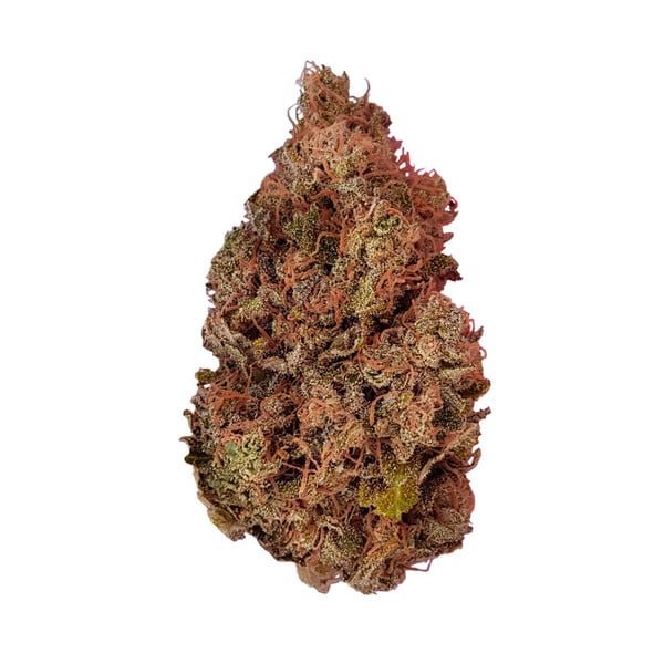 Royal Queen Seeds Purple Queen - 7SMART
