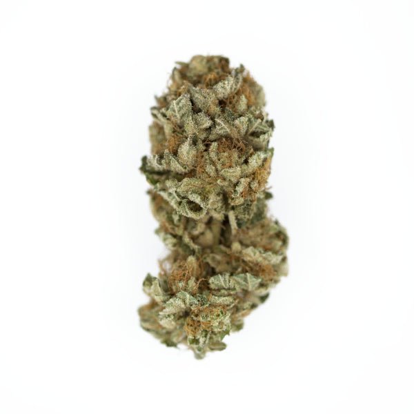 Royal Queen Seeds Royal Cookies “Girl scout cookies” - 7SMART