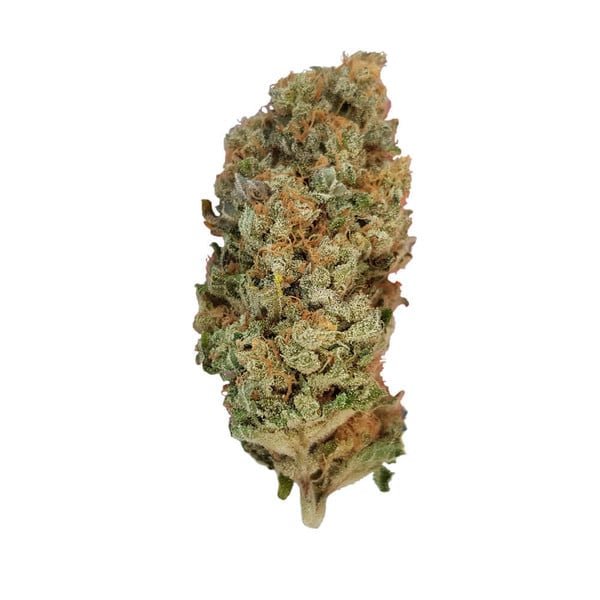 Royal Queen Seeds Special Queen - 7SMART