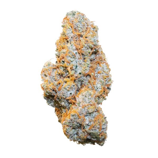 Royal Queen Seeds Apple Fritter Auto - 7SMART