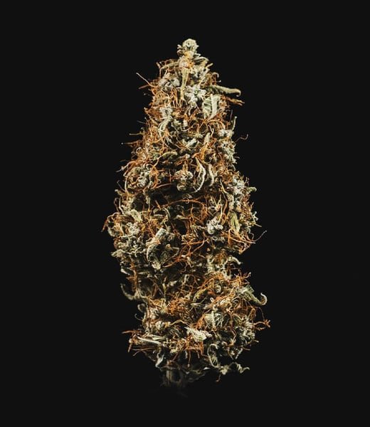 Royal Queen Seeds Hulkberry Auto - 7SMART