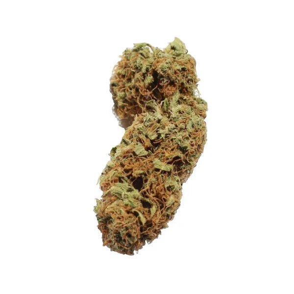 Royal Queen Seeds Northern Light Auto - 7SMART