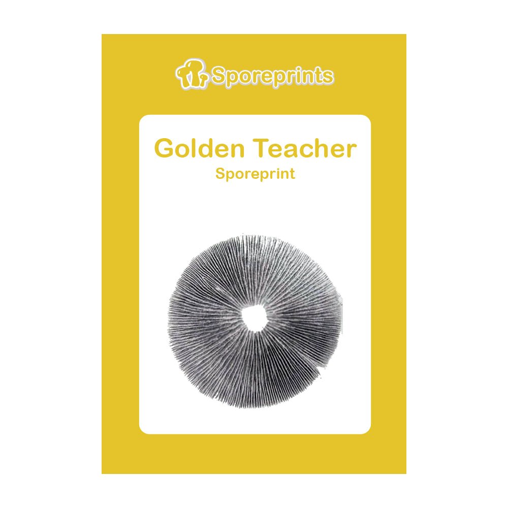 Golden Teacher Magic Mushroom Sporeprint - 7SMART