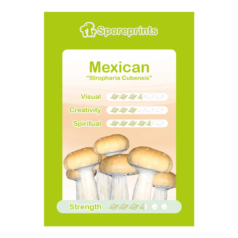 Mexican Magic Mushroom Sporeprint - 7SMART