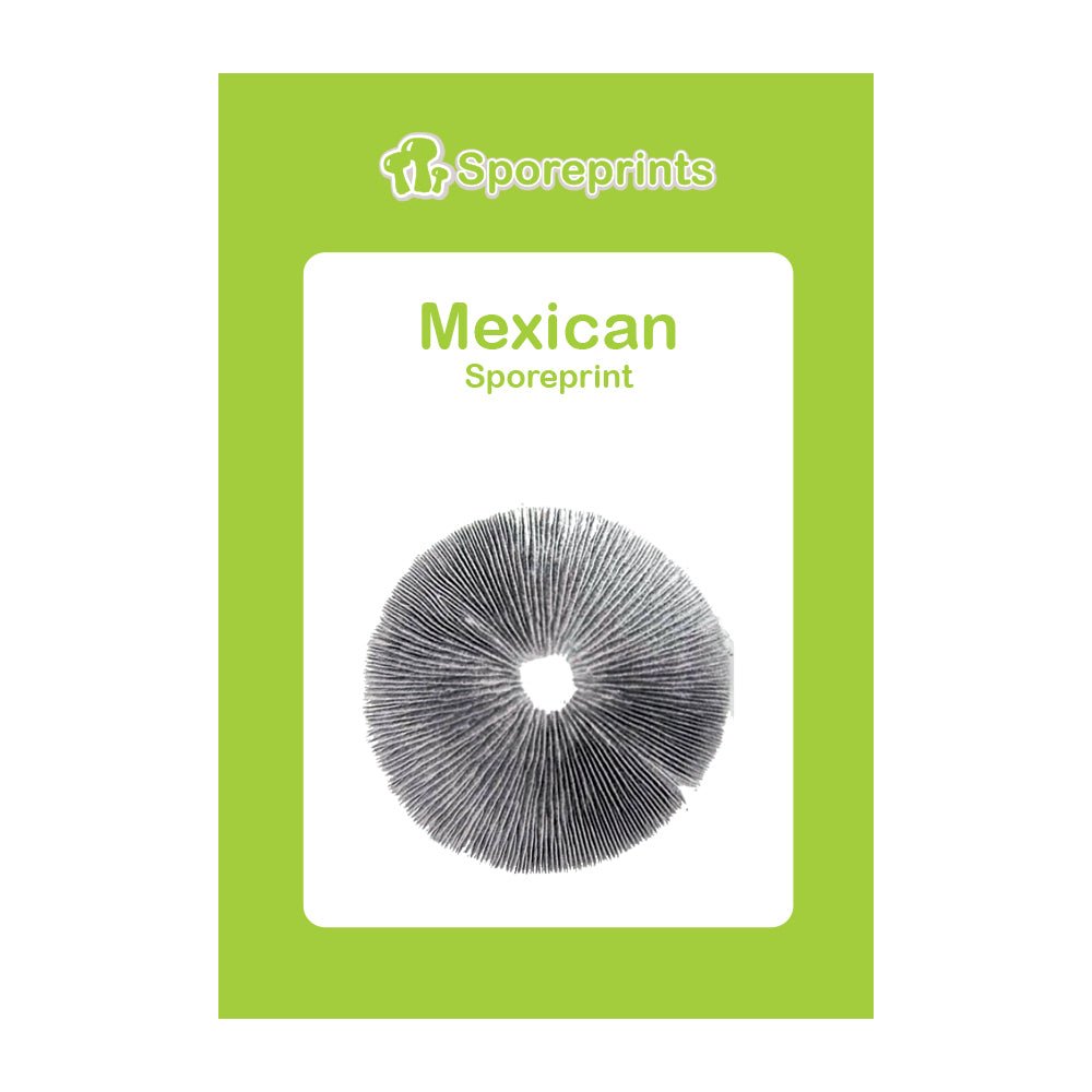 Mexican Magic Mushroom Sporeprint - 7SMART