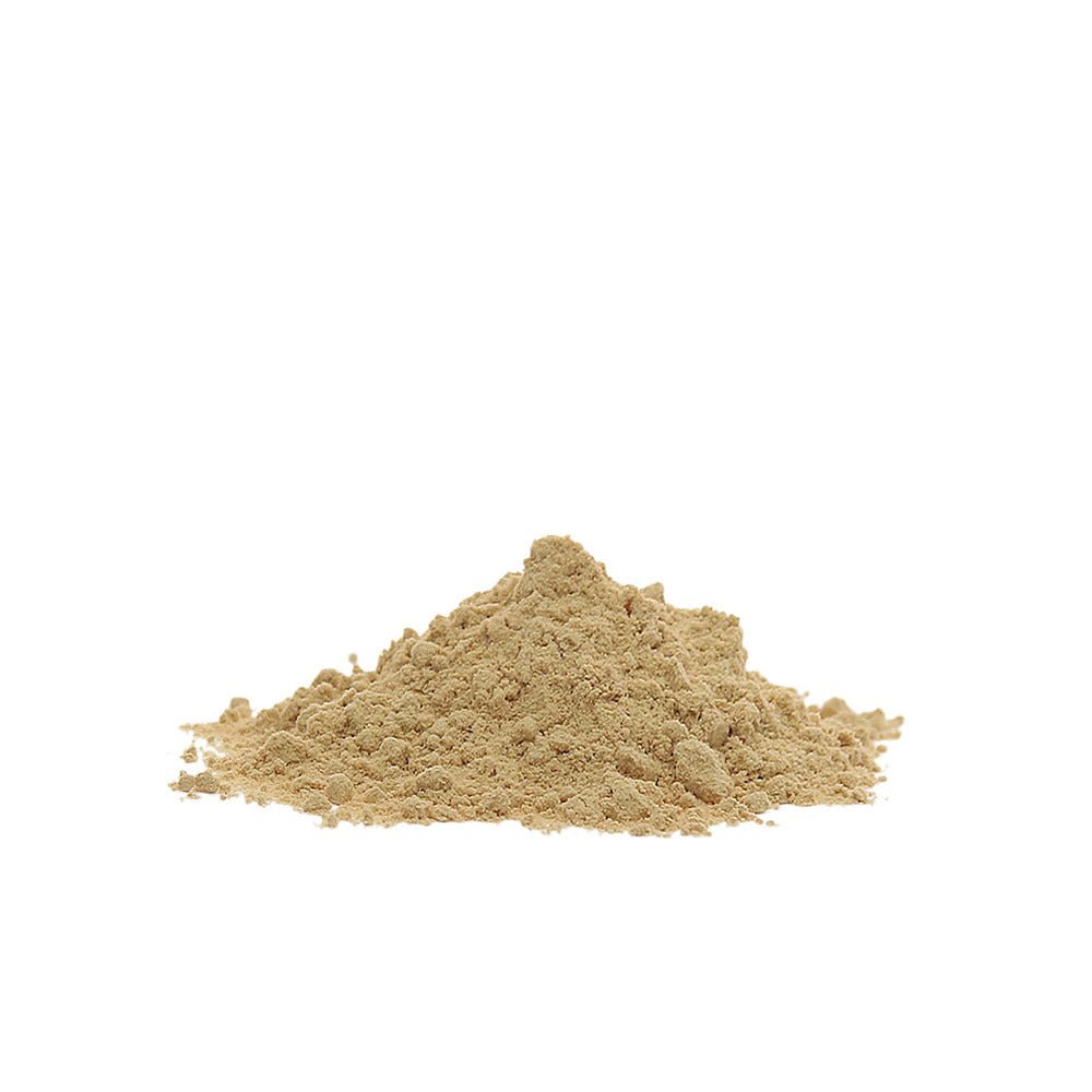 Lion's Mane - 100 gram - 7SMART