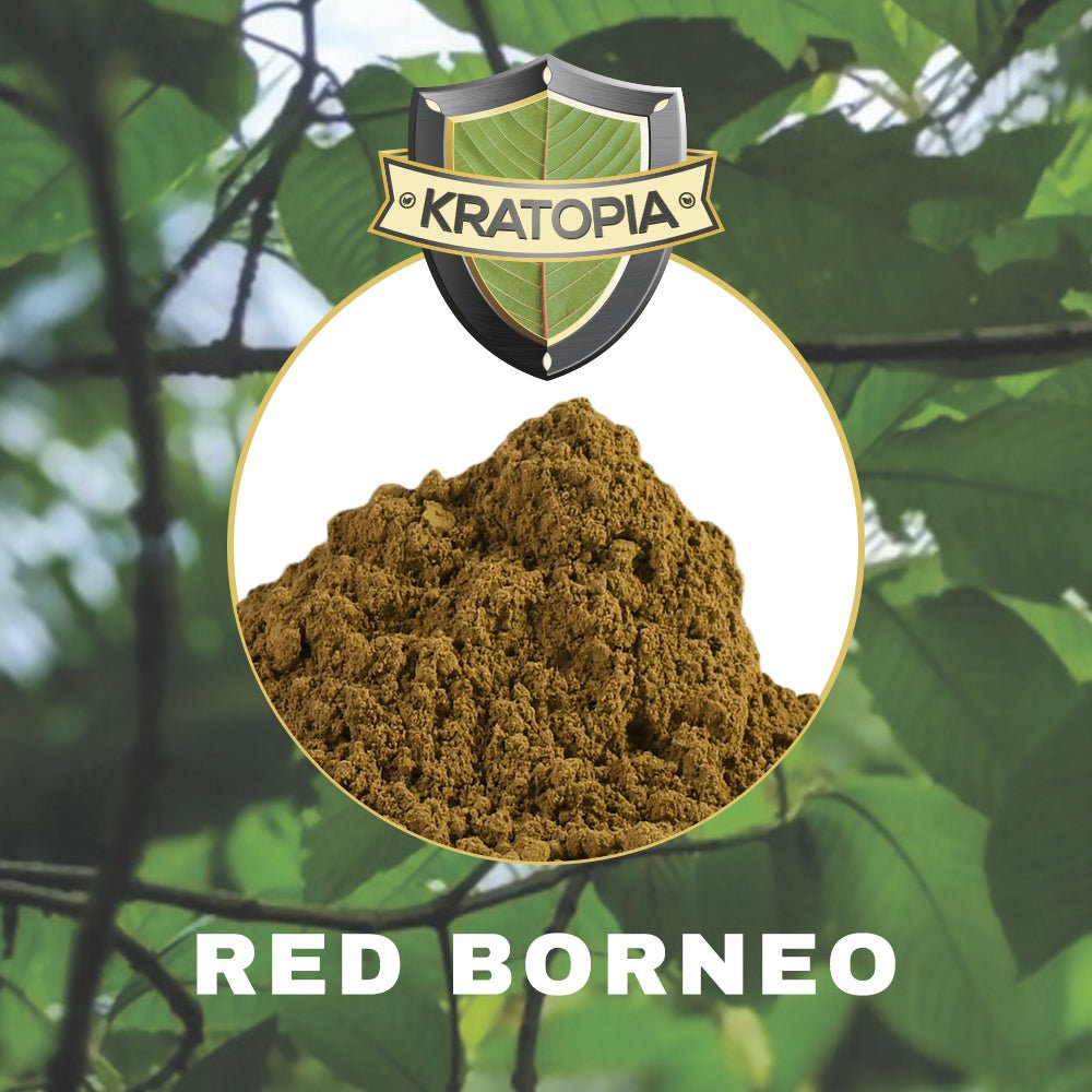 Red Borneo Kratom - 50 gram - 7SMART