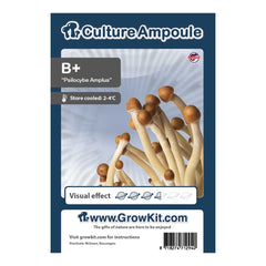 B Plus Magic Mushroom - Culture Ampoule Set