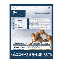 B Plus Magic Mushroom Growkit - 2100 cc