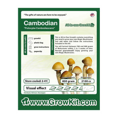 Cambodian Magic Mushroom Growkit - 2100 cc
