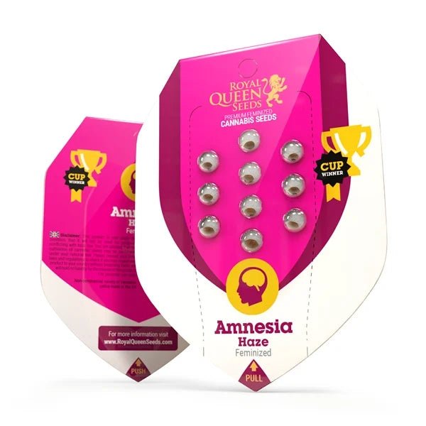 Royal Queen Seeds Amnesia Haze - 7SMART