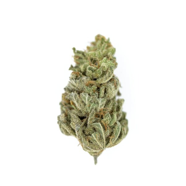 Royal Queen Seeds Amnesia Haze - 7SMART
