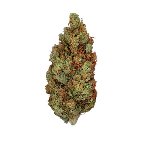 Royal Queen Seeds Green Gelato - 7SMART