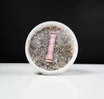 Thai Magic Mushroom Growkit - 250 cc - Afbeelding 2