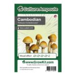 Cambodian Magic Mushroom - Culture Ampoule Set - Culture Ampoule & Sporeprints kopen bij 7Smart
