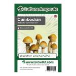 Cambodian Magic Mushroom - Culture Ampoule Set
