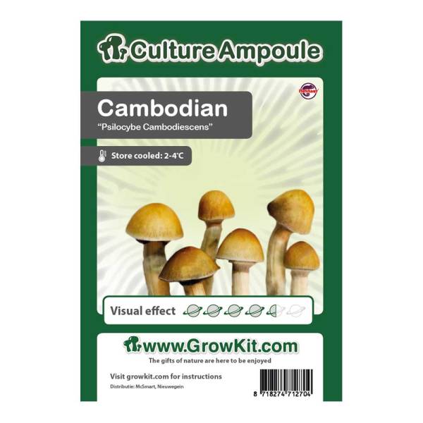 Cambodian Magic Mushroom - Culture Ampoule Set