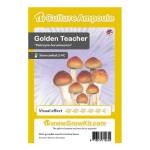 Golden Teacher - Magic Mushroom Culture Ampoule Set