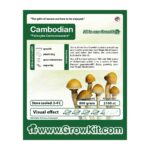 Cambodian Magic Mushroom Growkit - 2100 cc - Growkits kopen bij 7Smart