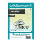 Hawaiian Magic Mushroom - Culture Ampoule Set - Culture Ampoule & Sporeprints kopen bij 7Smart
