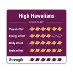 High Hawaiians - 25 gram - Magic truffels kopen bij 7Smart