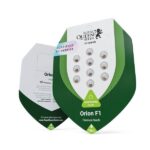 Royal Queen Seeds Orion F1 - Royal Queen Seeds kopen bij 7Smart