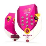 Royal Queen Seeds Northern Light - Royal Queen Seeds kopen bij 7Smart