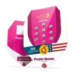 Royal Queen Seeds Purple Queen - Royal Queen Seeds kopen bij 7Smart
