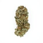 Royal Queen Seeds Royal Cookies “Girl scout cookies” - Royal Queen Seeds kopen bij 7Smart