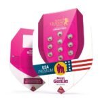 Royal Queen Seeds Royal Gorilla “Original Gorilla Glue” - Royal Queen Seeds kopen bij 7Smart