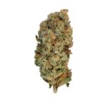 Royal Queen Seeds Special Queen - Royal Queen Seeds kopen bij 7Smart
