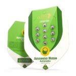Royal Queen Seeds Amnesia Haze Auto - Royal Queen Seeds kopen bij 7Smart