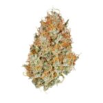 Royal Queen Seeds Amnesia Haze Auto - Royal Queen Seeds kopen bij 7Smart