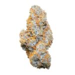 Royal Queen Seeds Apple Fritter Auto - Royal Queen Seeds kopen bij 7Smart