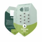 Royal Queen Seeds Fat Banana Auto - Royal Queen Seeds kopen bij 7Smart