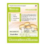 Mexican Magic Mushroom Growkit - 2100 cc - Growkits kopen bij 7Smart