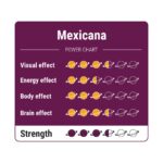 Mexicana - 15 gram - Magic truffels kopen bij 7Smart