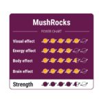 MushRocks - 15 gram - Magic truffels kopen bij 7Smart